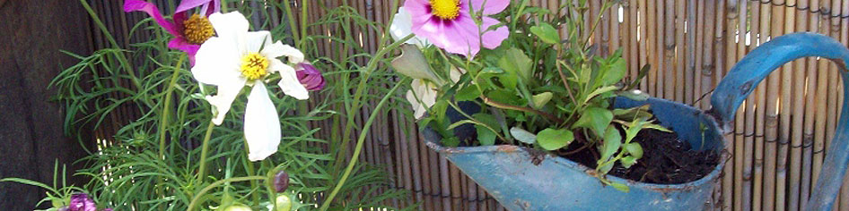 Avril Jones Interiors & Exteriors | Blog