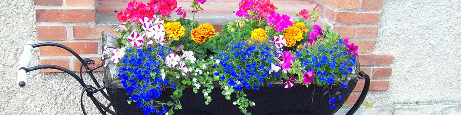 Avril Jones Interiors & Exteriors | Photo gallery